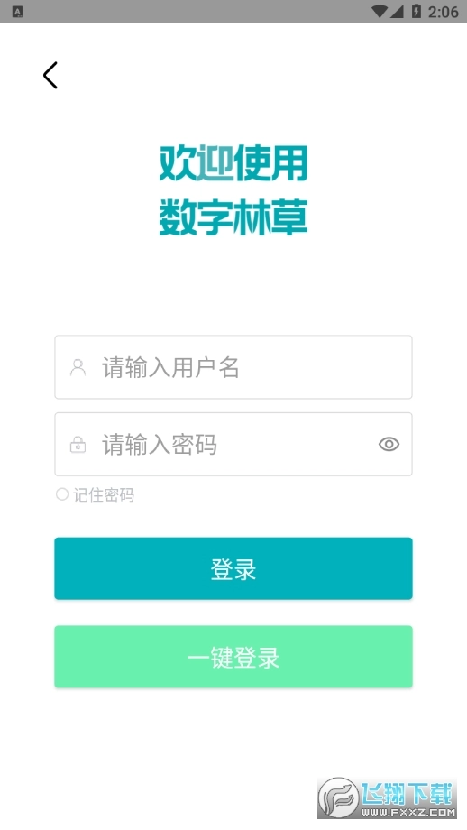 数字熊猫护林员官方最新版图3