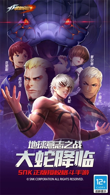 拳皇命运正版图2