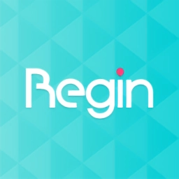 Begin软件原版