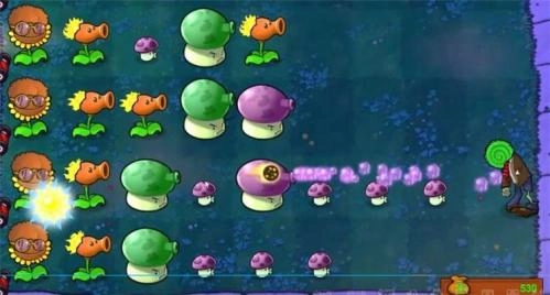 植物大战僵尸重生游戏完整版(1)