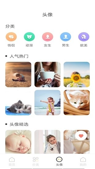 intolive实况壁纸制作器免费版图1