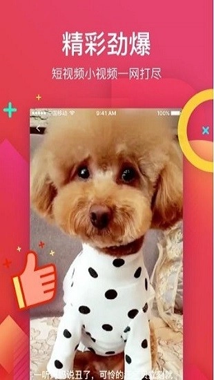 红豆生活最新版图1