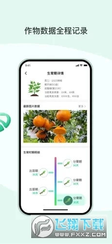 ai农安卓版图3