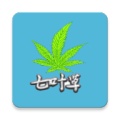 光标谱伴奏软件最新版