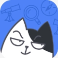 坏坏猫小说原版
