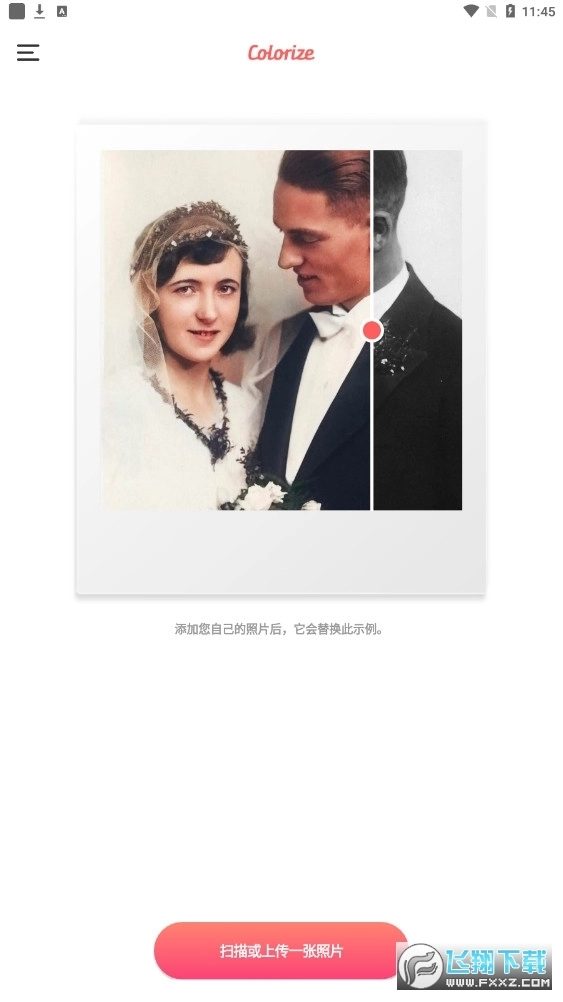 Colorize上色软件