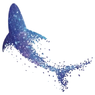 星鲨线上vr学院安卓版