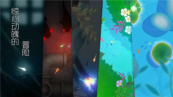 鲤游戏手机版图4