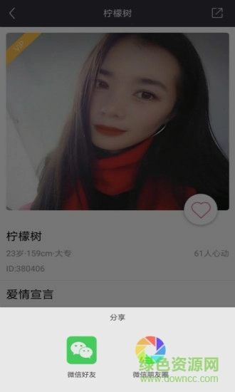 挚恋