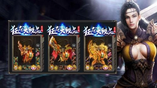 狂龙大极品5三职业图2
