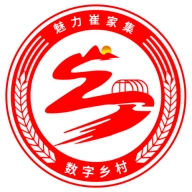 崔家集数字乡村