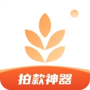 我拍衣软件