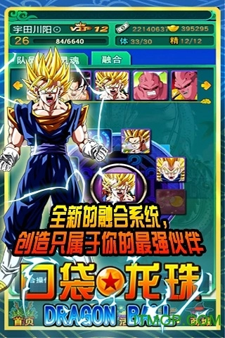 口袋龙珠最新版