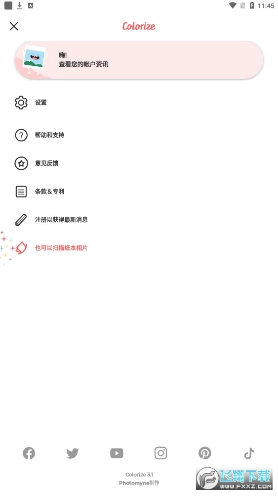 Colorize上色软件