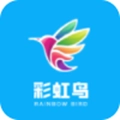 彩虹鸟交友软件安卓版