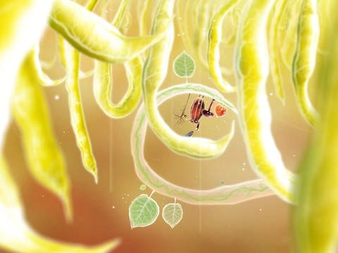 植物精灵原版图3