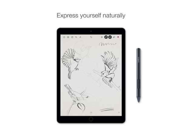 BambooPaper苹果版图1