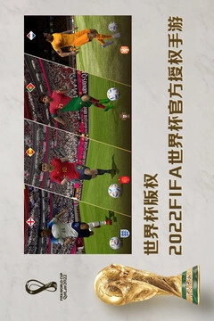 FIFA足球世界正版图3