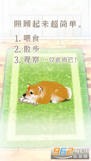 养育柴犬的治愈游戏中文版图4