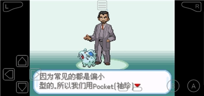 口袋妖怪剑盾（中文）手机版图2