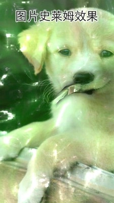 史莱姆超级粘液模拟器中文版