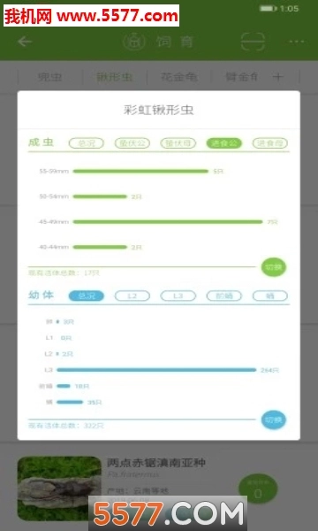 甲虫饲育者安卓版