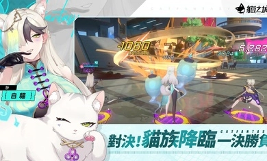 猫之城手游免费版图2