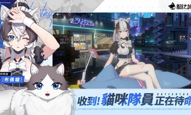 猫之城手游免费版图1