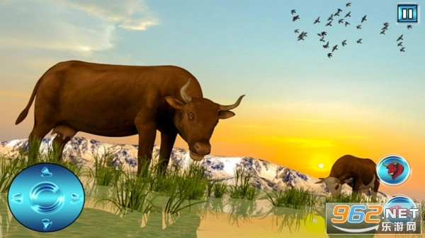 狂野公牛模拟器