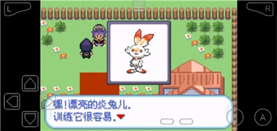 口袋妖怪剑盾（中文）手机版图4