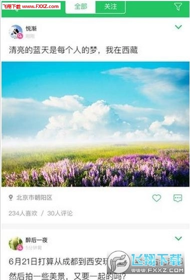大树旅行最新版图1