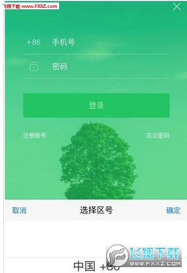 大树旅行最新版图3