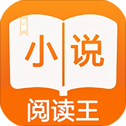 小说阅读王