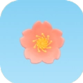 乐游飞花令