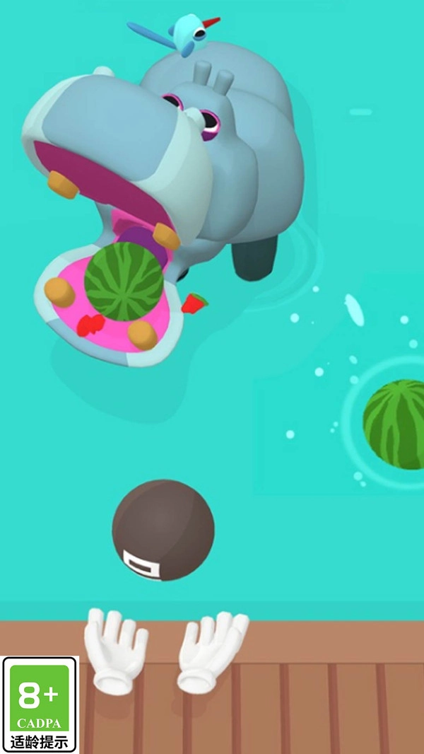 宠物训练家最新版图1