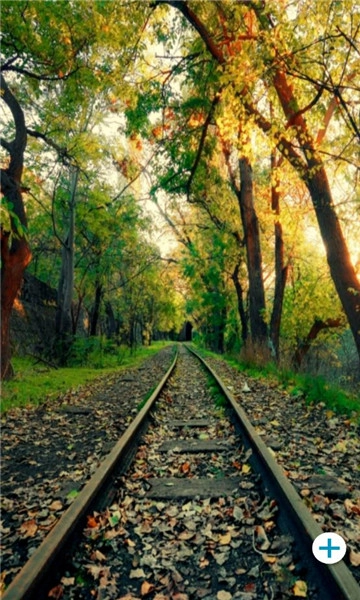 穆远壁纸剪辑软件无广告版图1