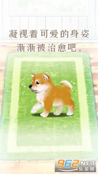养育柴犬的治愈游戏中文版图3