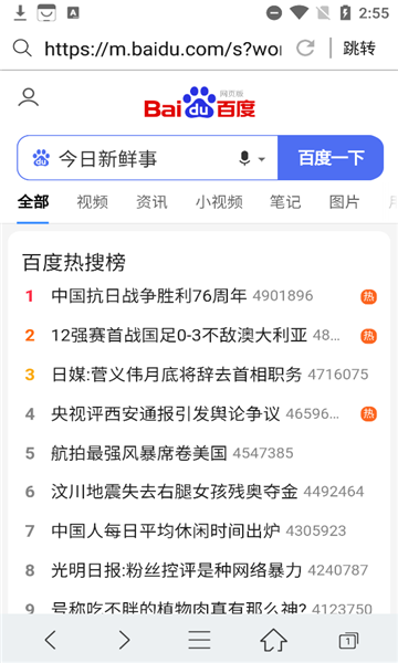 端隐安全浏览器
