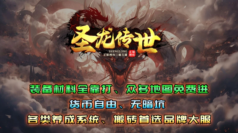 圣龙传世安卓直装版图1