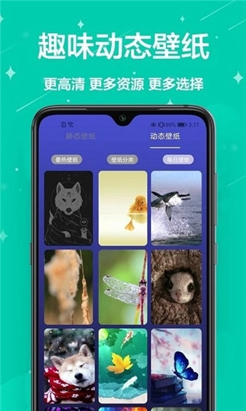 主题君软件通用版图2