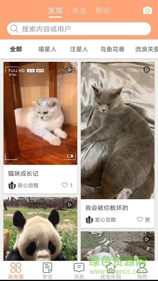 迷宠圈
