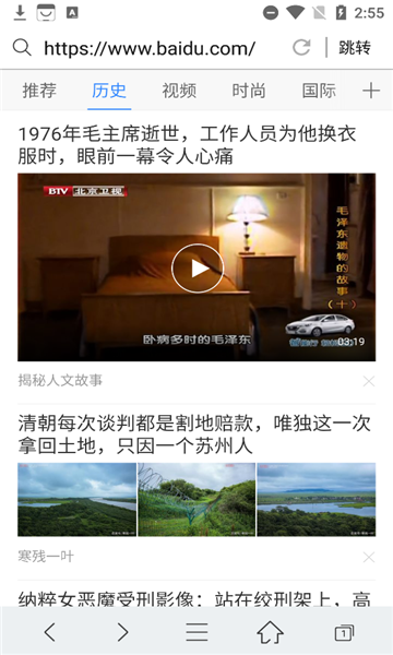 端隐安全浏览器
