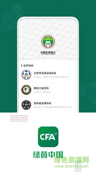 绿茵中国直装版1