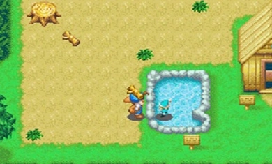 牧场物语精灵驿站免费版图1