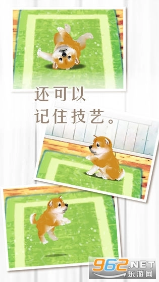 养育柴犬的治愈游戏中文版图2