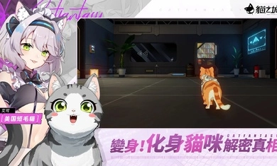 猫之城手游免费版图3