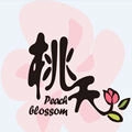 桃夭阅读最新版