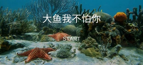 大鱼我不怕你图3