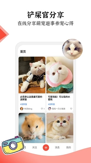 猫猫社最新版图1