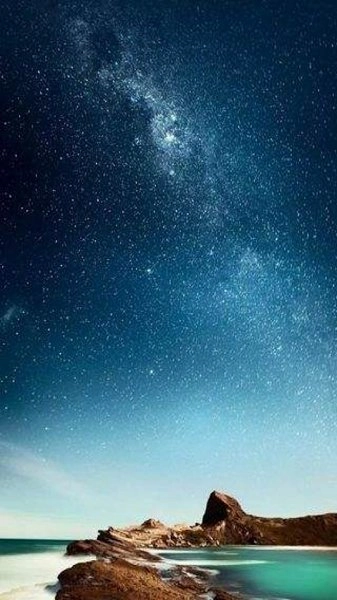 虾聊聊图1